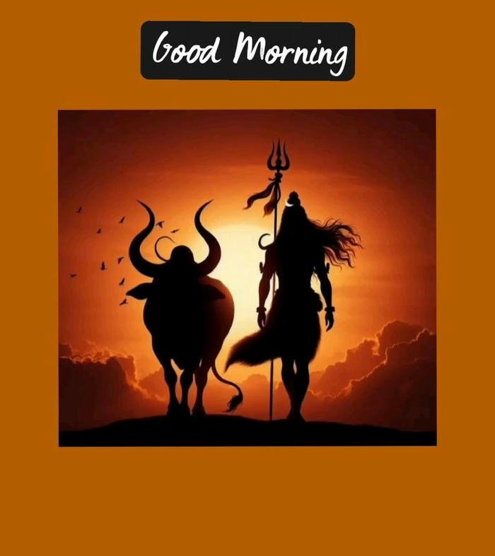 peaceful images namah morning hd shivaya flowers picture om positive good with