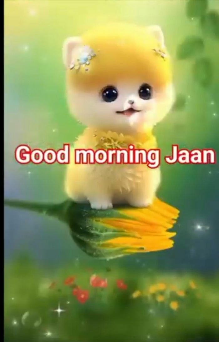 picture good jaan image morning blessing couple flowers hd