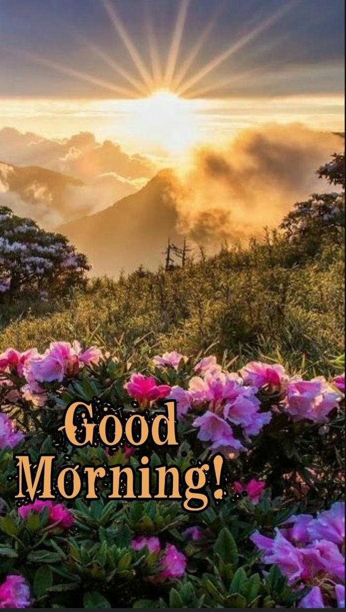 positive best images good new morning sunrise photo spiritual