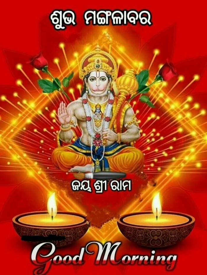 positive good image photo picture flowers romantic in morning odia