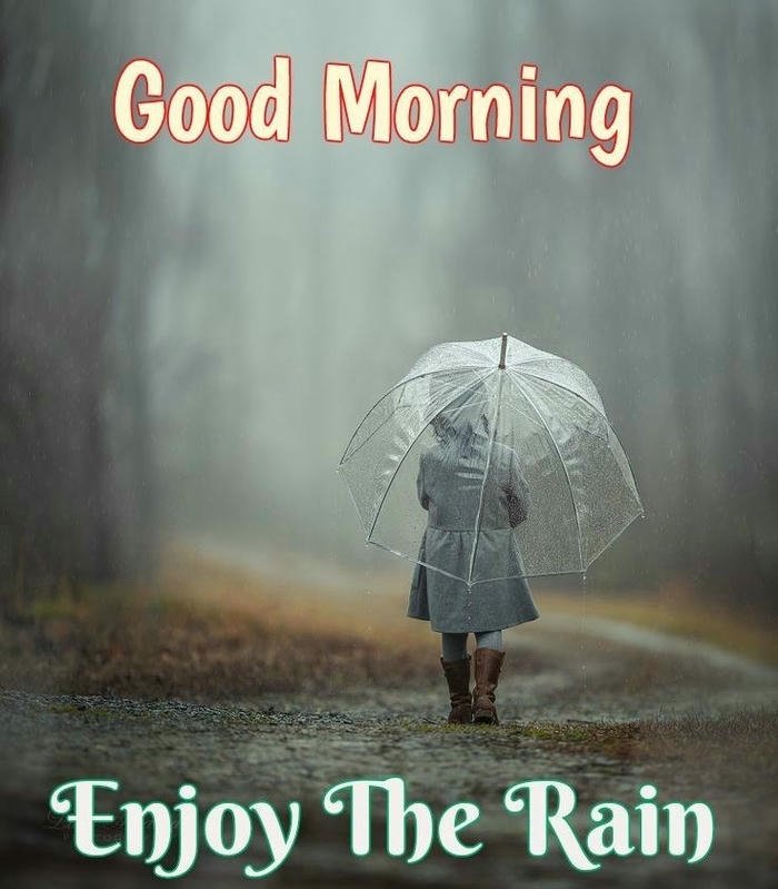positive hd good rain images morning flowers blessing spiritual
