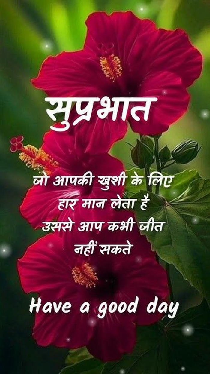 quotes hd images peaceful good morning positive beautiful