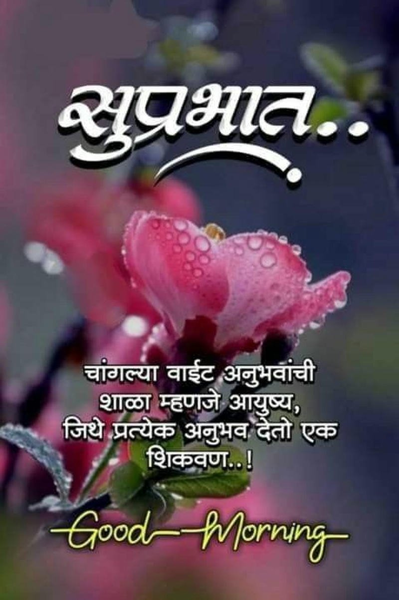 quotes images marathi new beautiful blessing morning good greeting flowers
