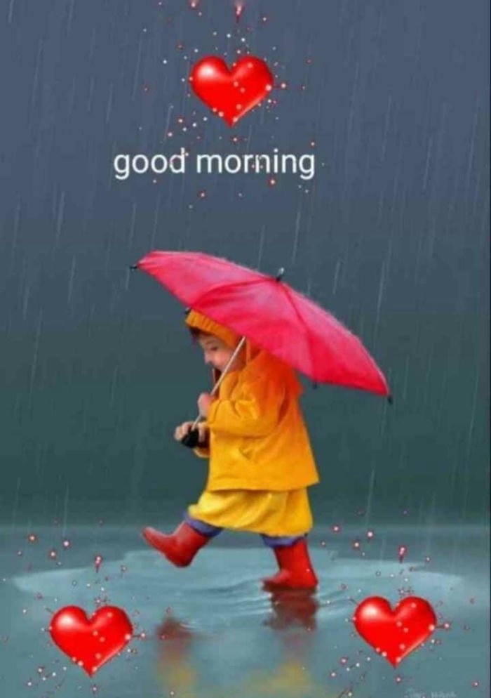 rain good morning greeting photo flowers aesthetic images spiritual