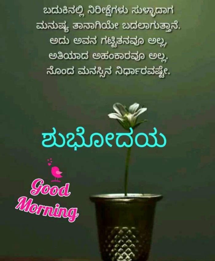 romantic good kannada special peaceful morning images happy positive in