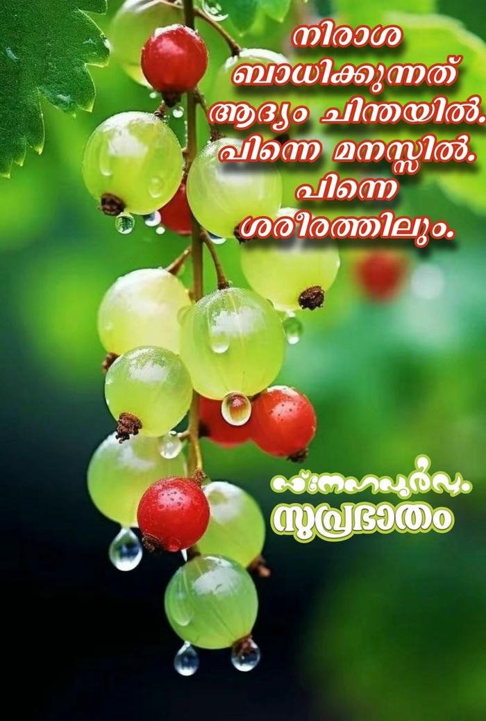 romantic malayalam nature love morning images cute beautiful good