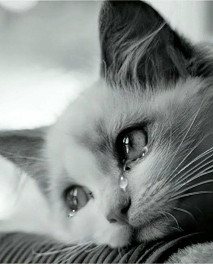 sad dp whatsapp 23sad dp whatsapp 23