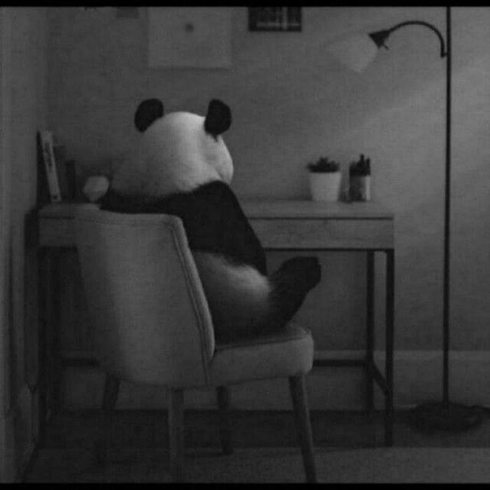 sad dp whatsapp 30