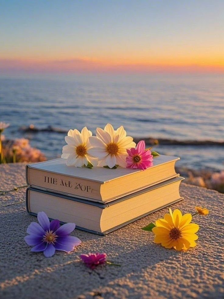 simple black whatsapp dp