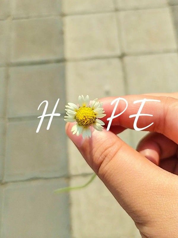 simple whatsapp dp 11