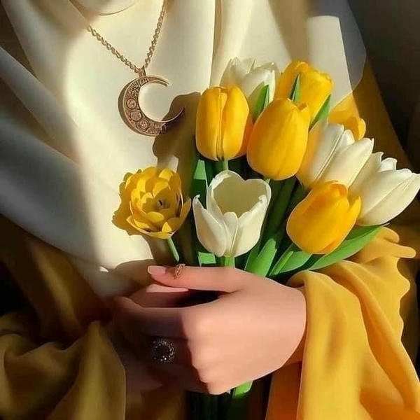 simple whatsapp dp 23