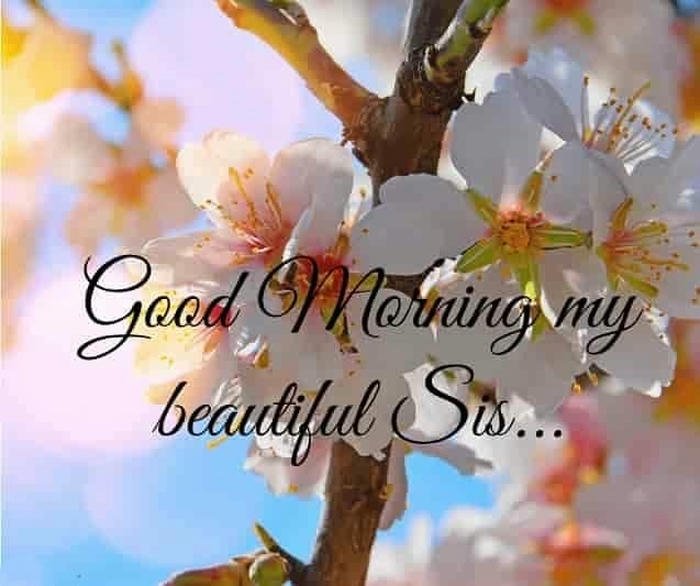 sister morning photo wallpaper good images romantic greeting flowers