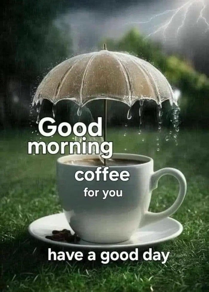 special rain hd smile morning images good happy blessing