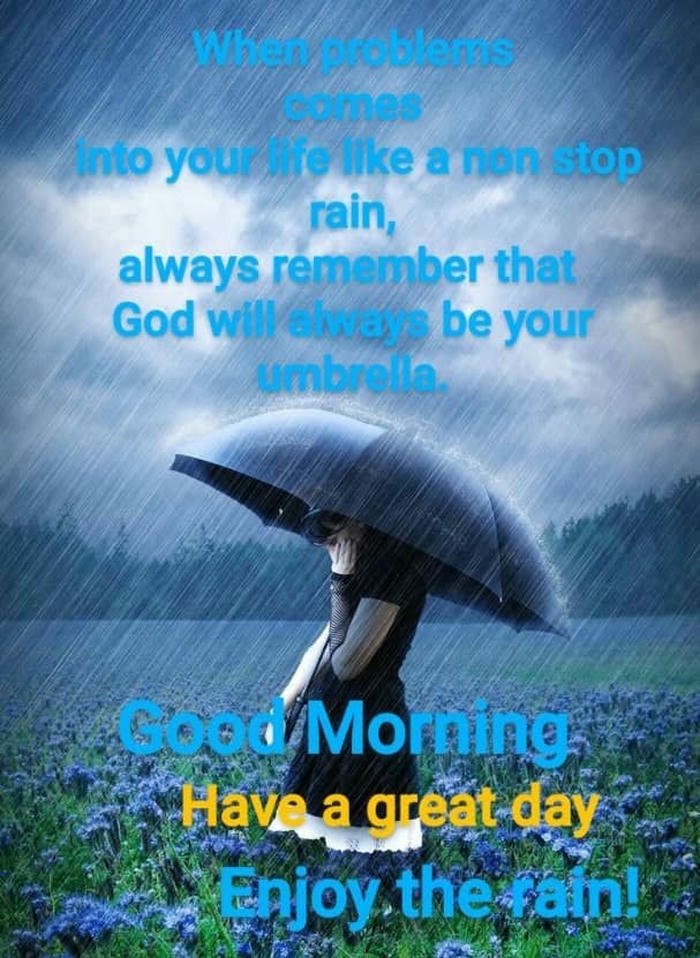 spiritual flowers images hd nature rain morning download good