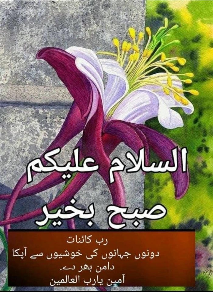 spiritual in photo good morning special urdu hd peaceful images