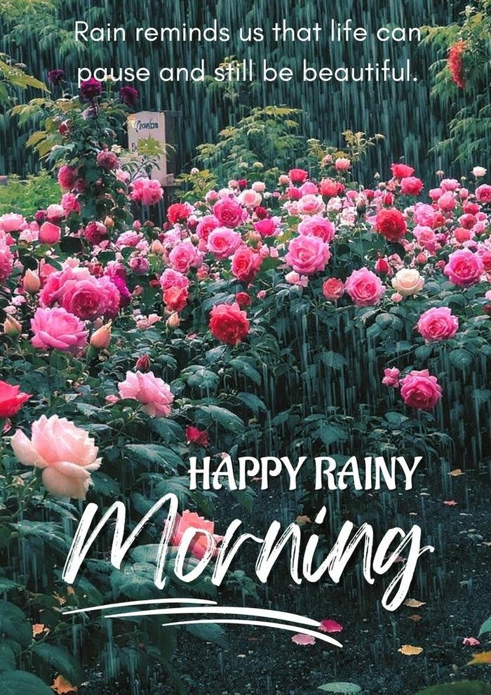 Pinterest Rainy Good Morning Images(1080 x 1920 px) – 2