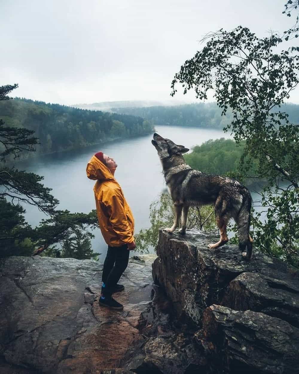 stylish dp attitude for boys