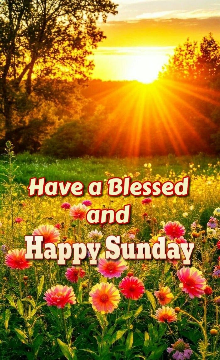 sunday nature hd best god flowers morning good cute images