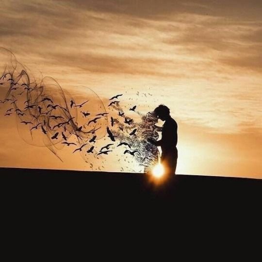 trending whatsapp dp image