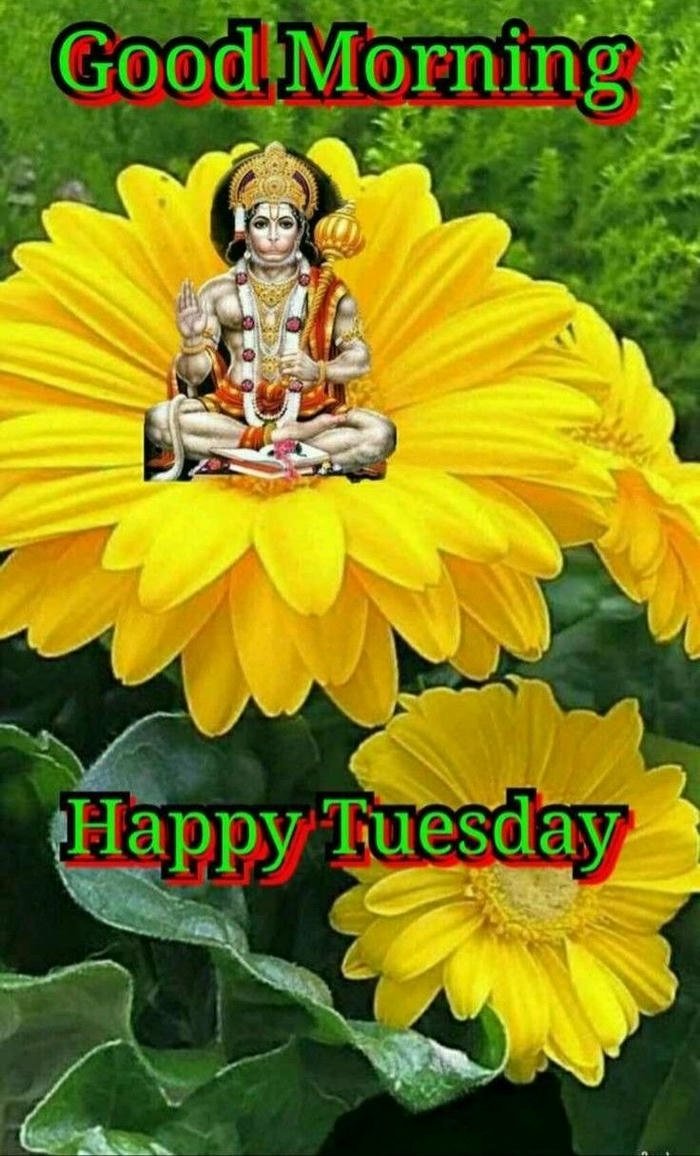 tuesday beautiful god romantic good morning full hd images download new
