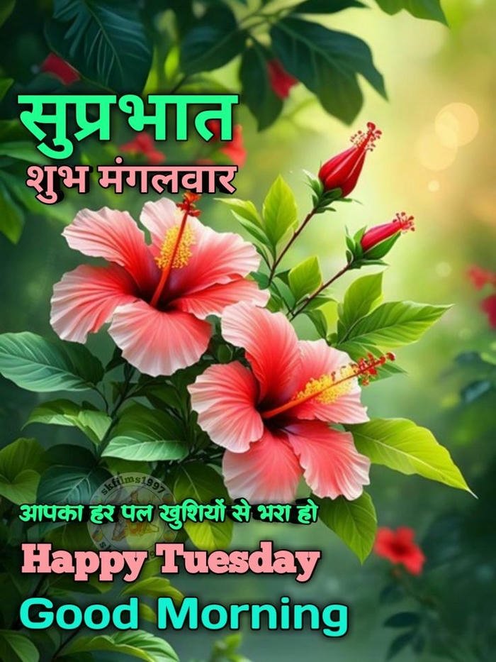 tuesday good aesthetic god photo picture morning images peaceful positive