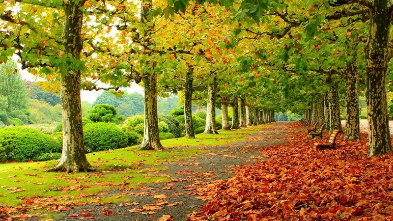 unique nice pictures