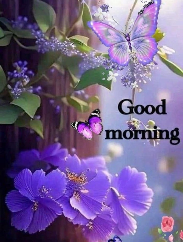 wallpaper good love inspirational hd photo picture images morning