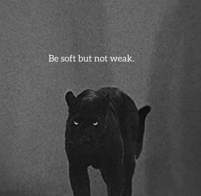 whatsapp dp attitude 10