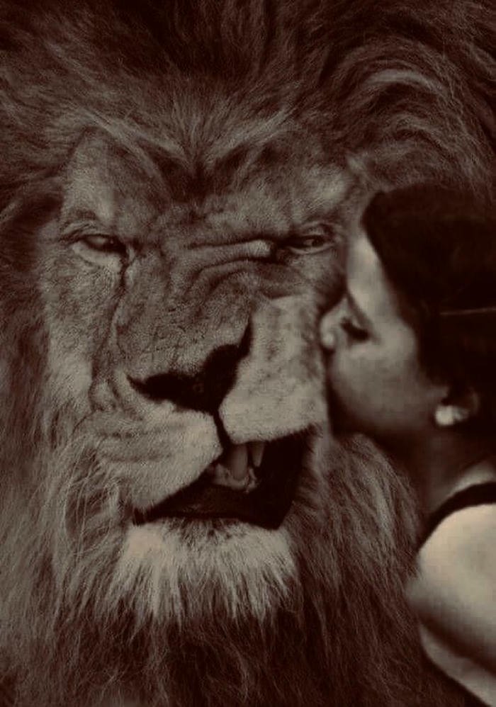whatsapp dp attitude 28