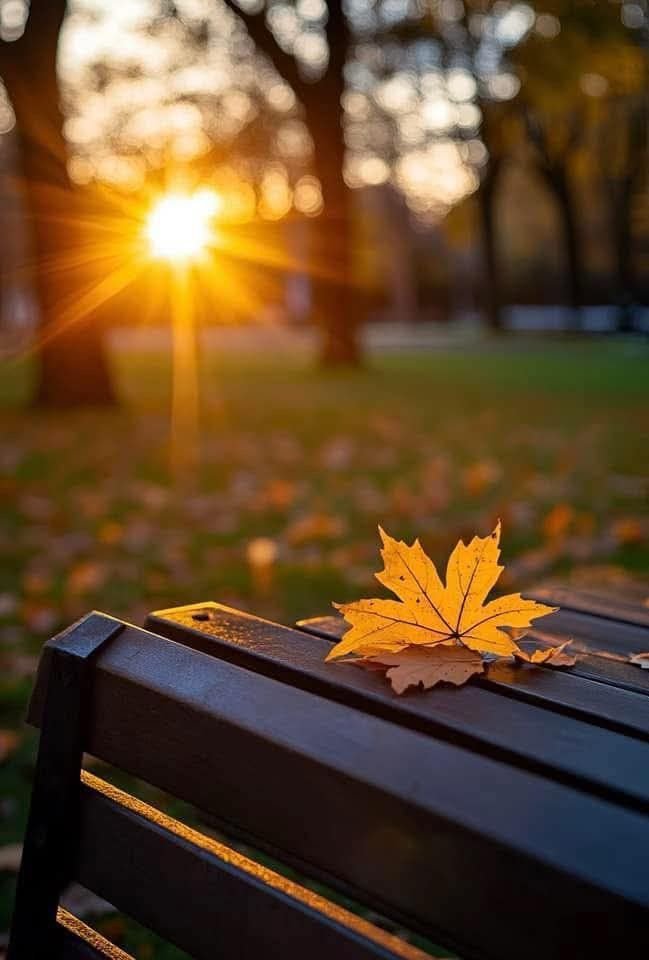 white background whatsapp dp