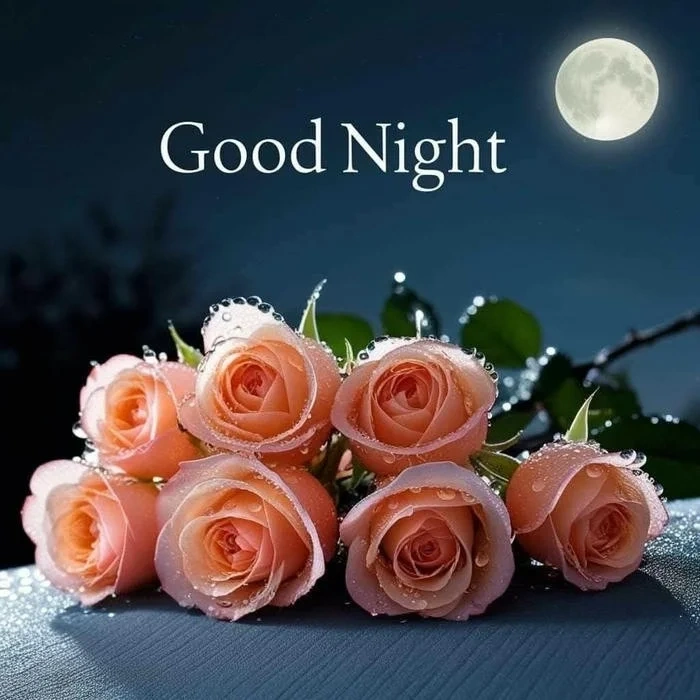 aesthetic good night rose image