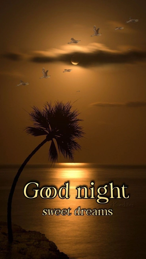 amazing good night sad image