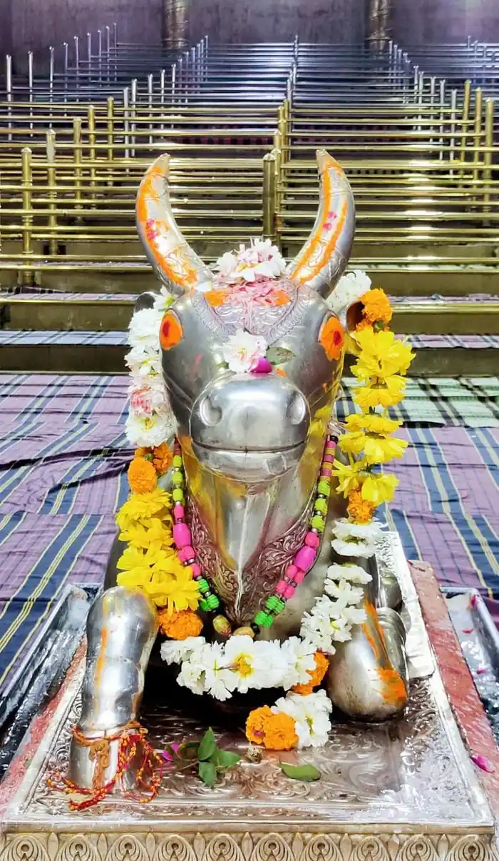 artistic gallery of nandi god hd photos wallpaper free