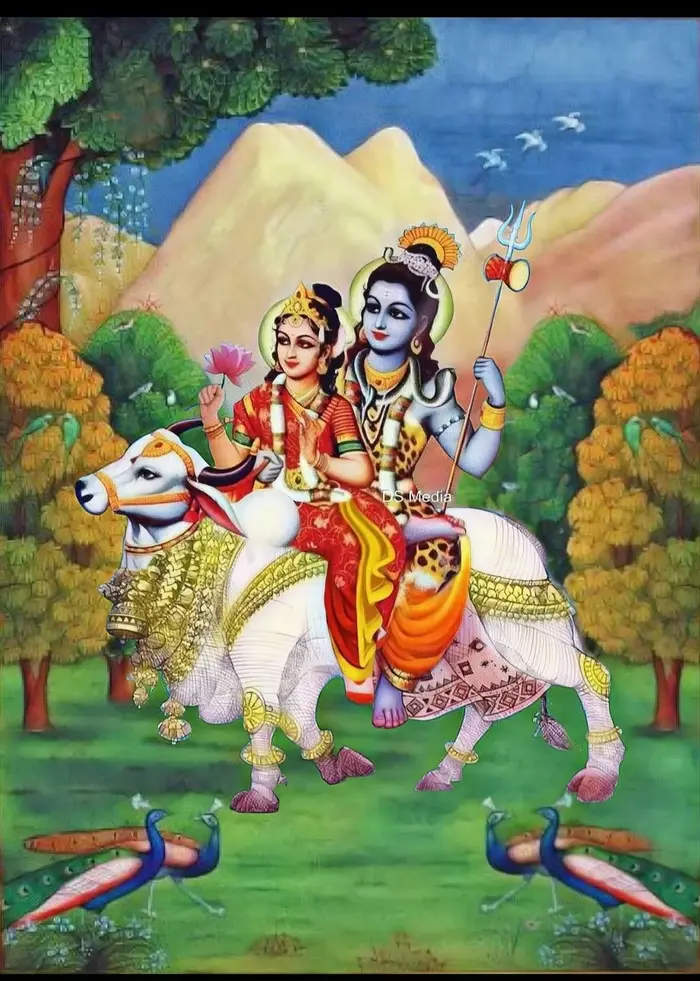 cow god 4k hd wallpaper images gallery free pics