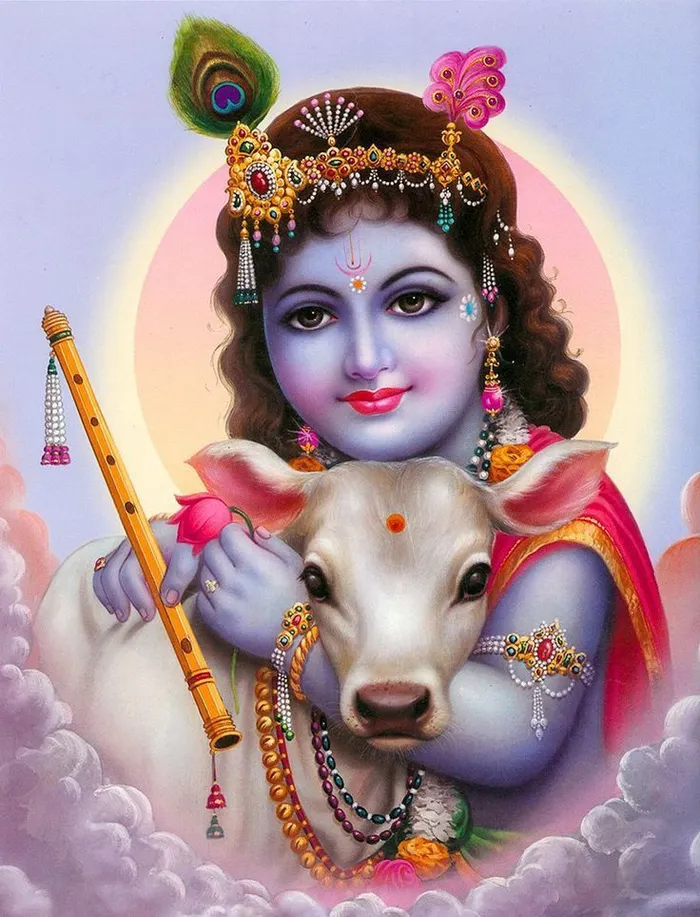 cow god hd images wallpaper background spiritual pics
