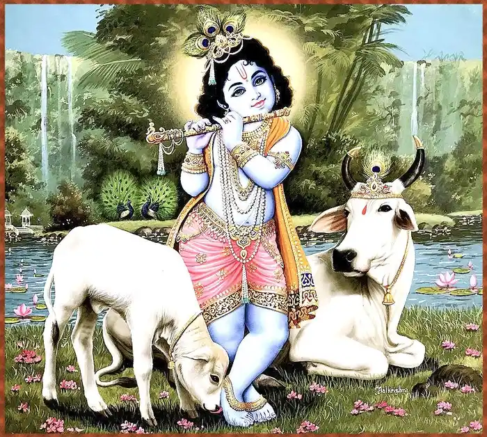 cow god hd images wallpaper gallery spiritual pics