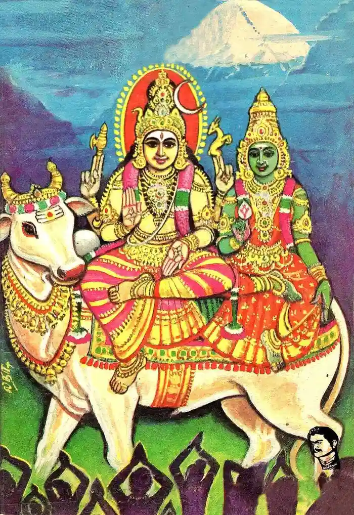 cow god hd wallpaper photos gallery free download