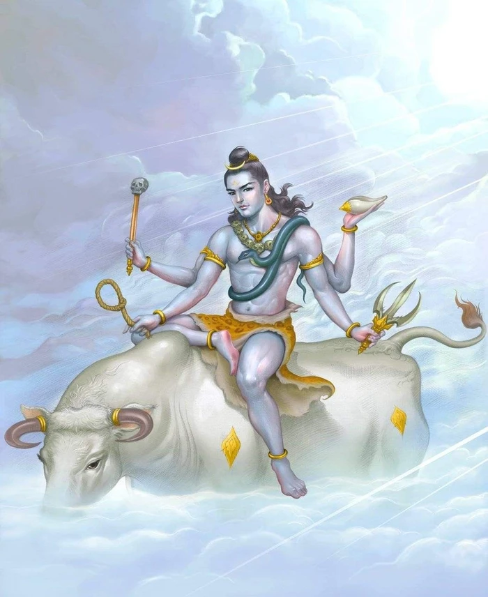cow god images 3d hd wallpaper collection free
