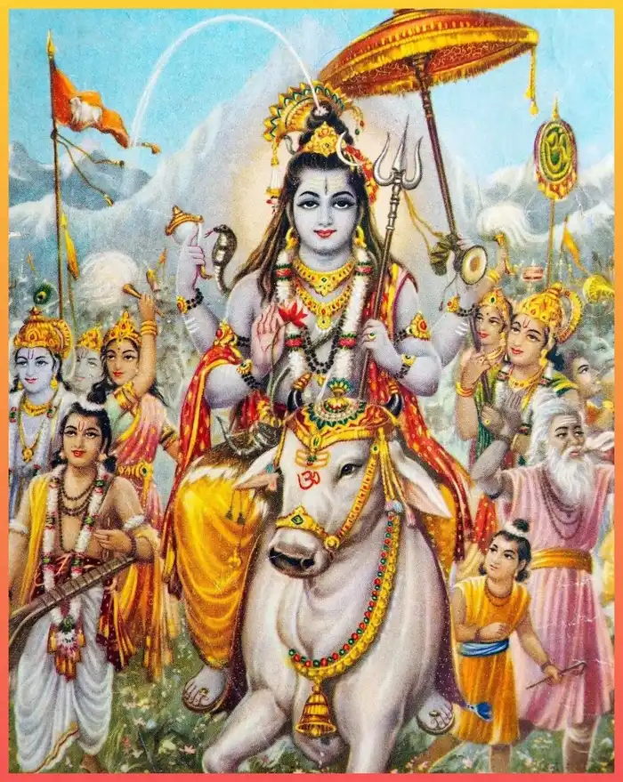 cow god photos hd wallpaper gallery divine free