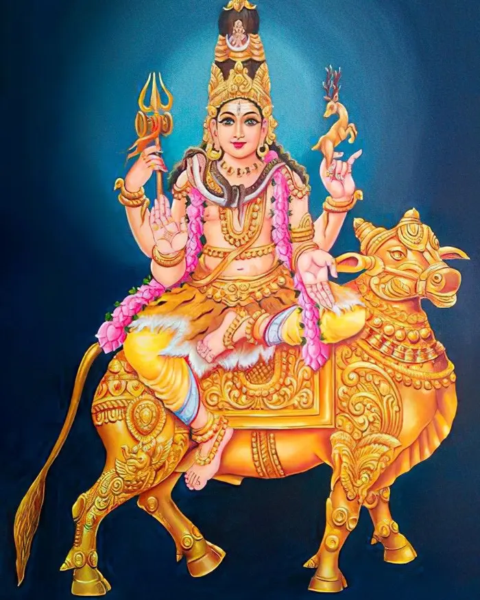 cow god pictures divine hd wallpaper photo gallery