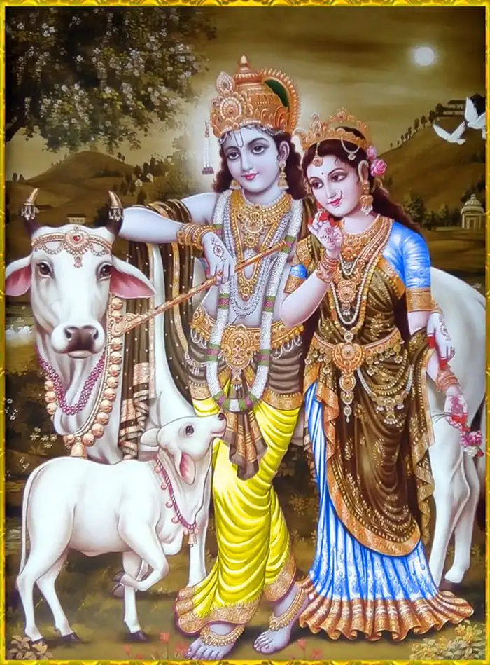 cow god pictures hd images wallpaper free collection