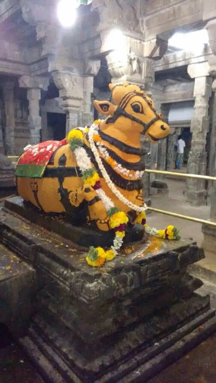 divine collection nandi god hd wallpaper download pics