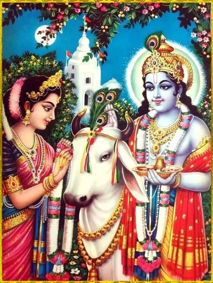 divine cow god pictures hd wallpaper gallery