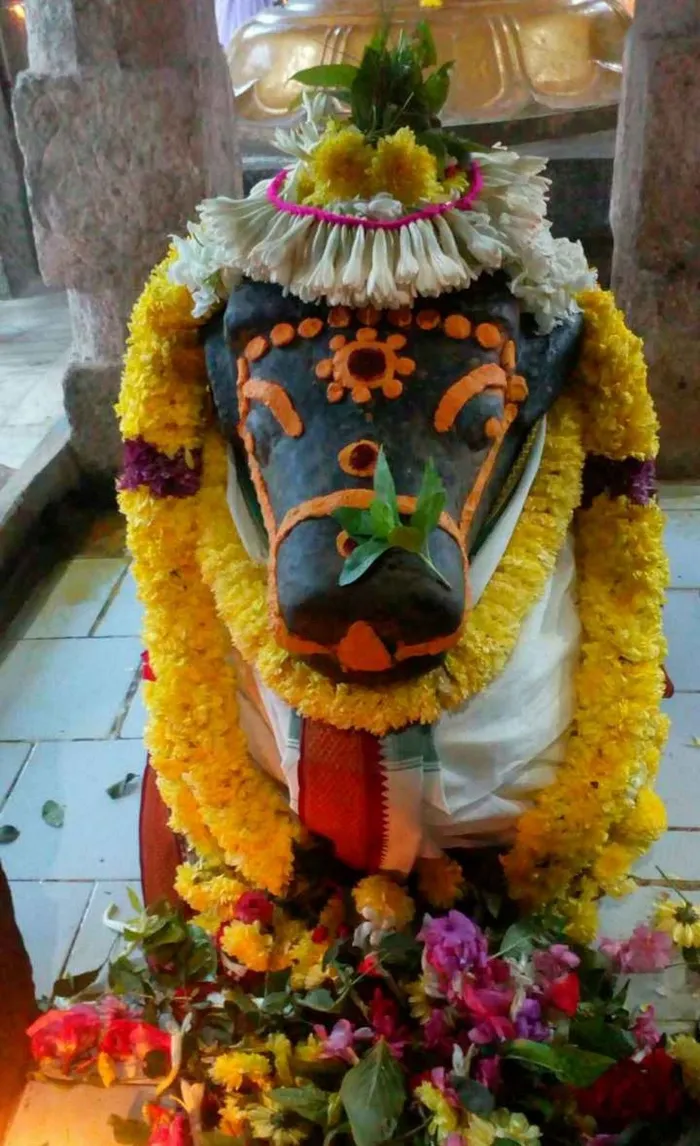 divine hd nandi god wallpaper gallery spiritual pics