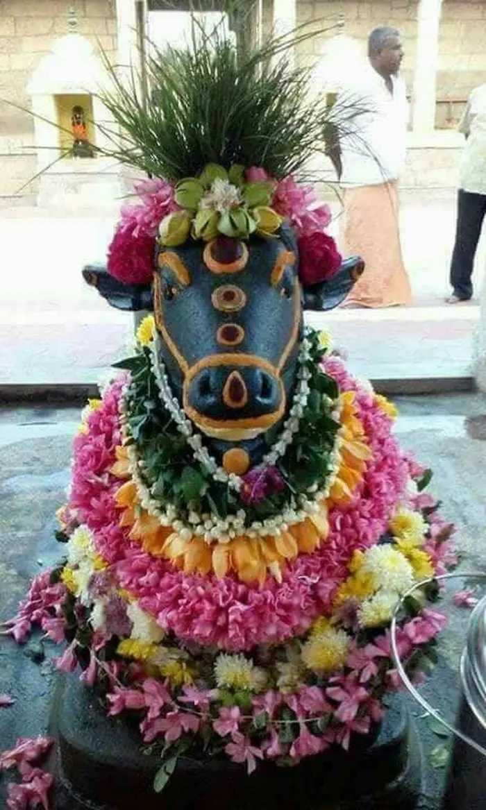 divine hd wallpaper gallery featuring god nandi images