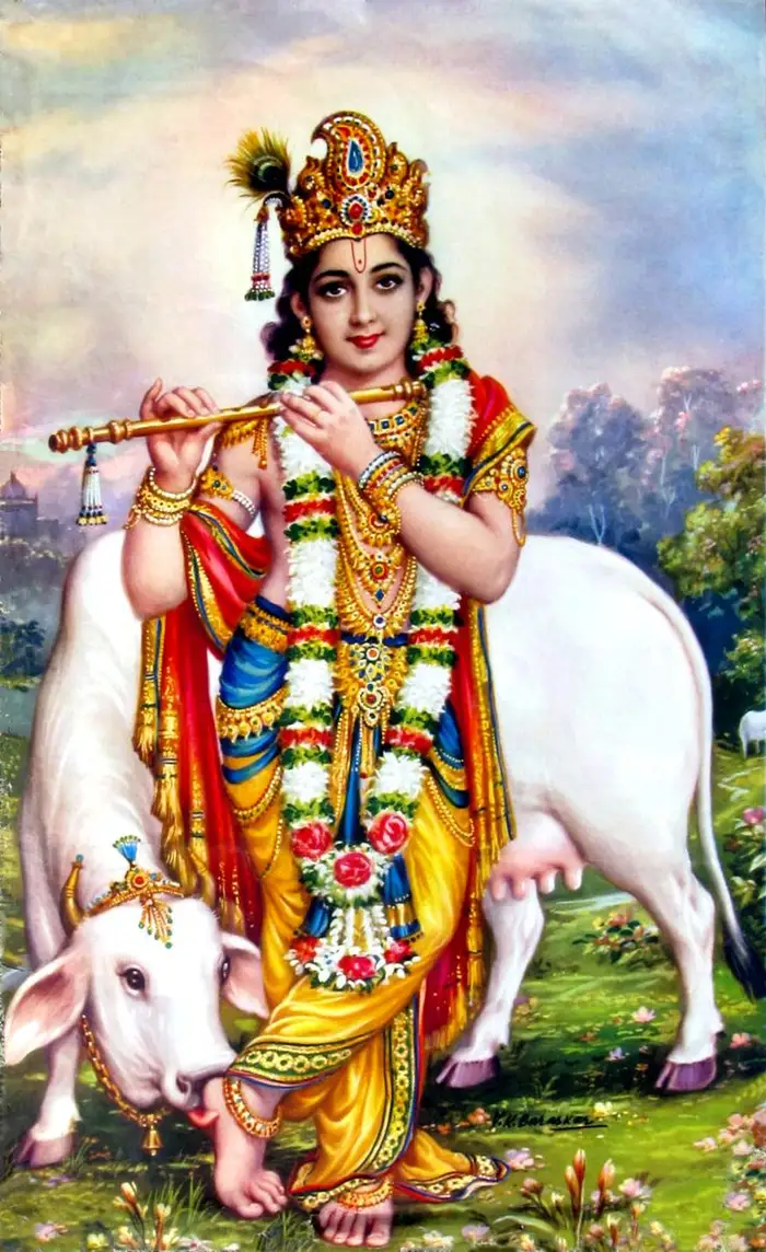 divine wallpaper hd cow god photos gallery free