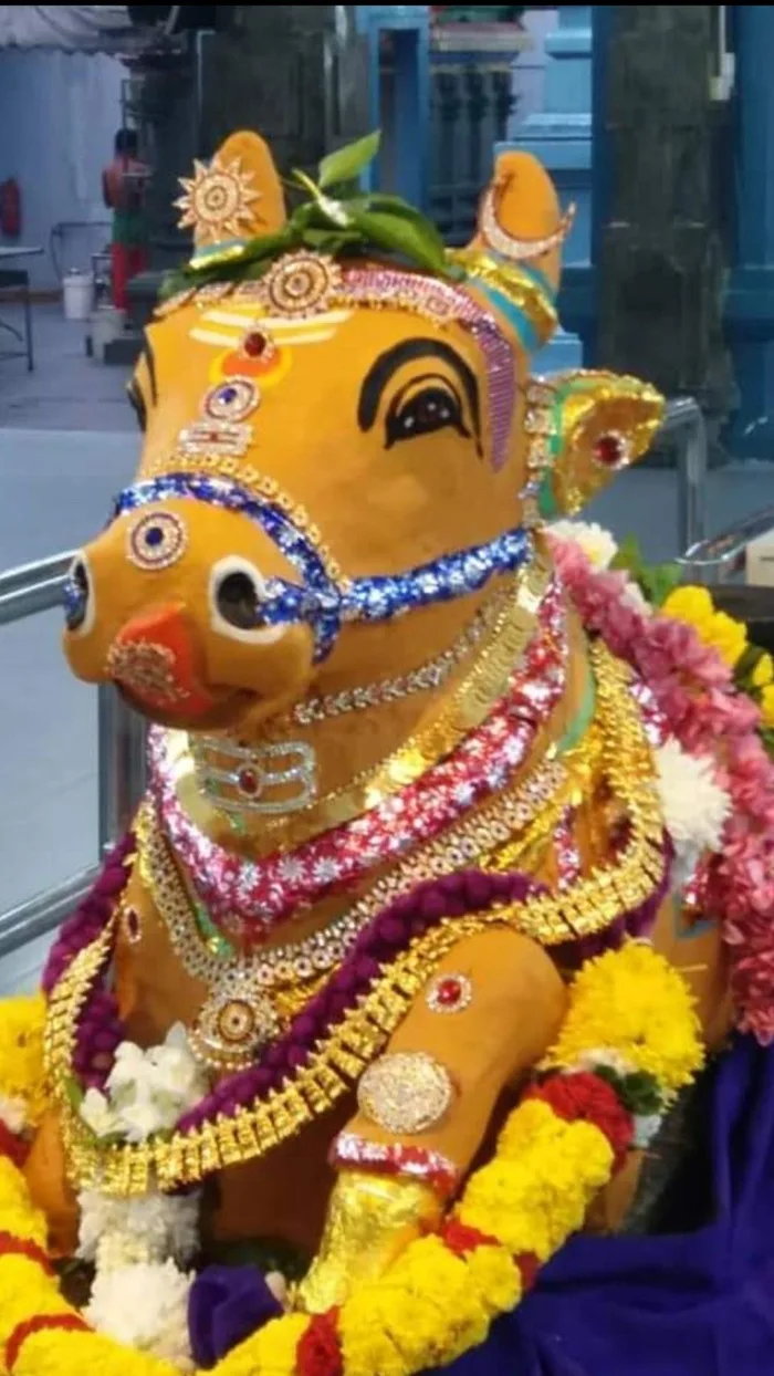 free hd nandi god wallpapers download divine pictures