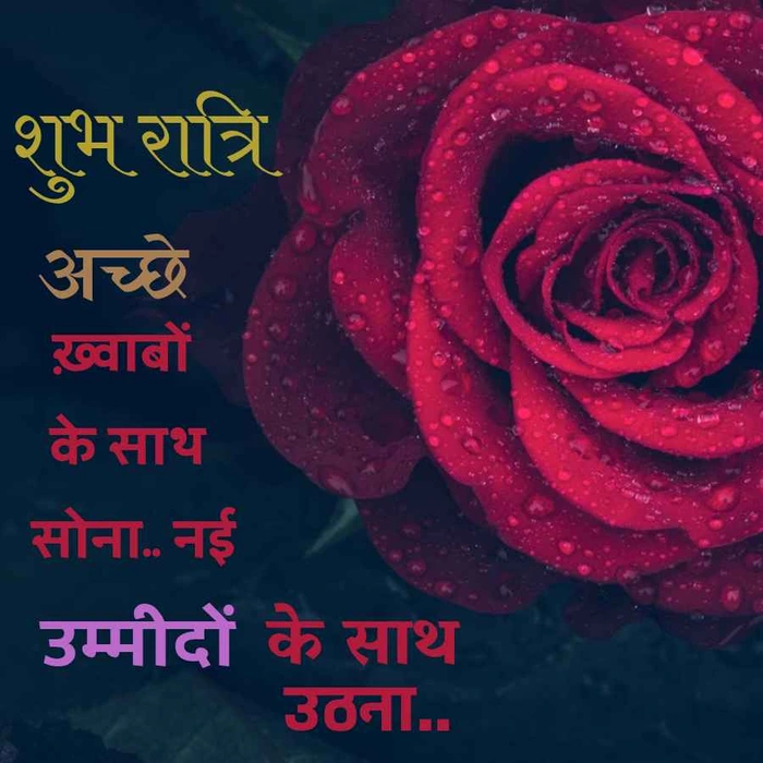 good night rose image hd quality