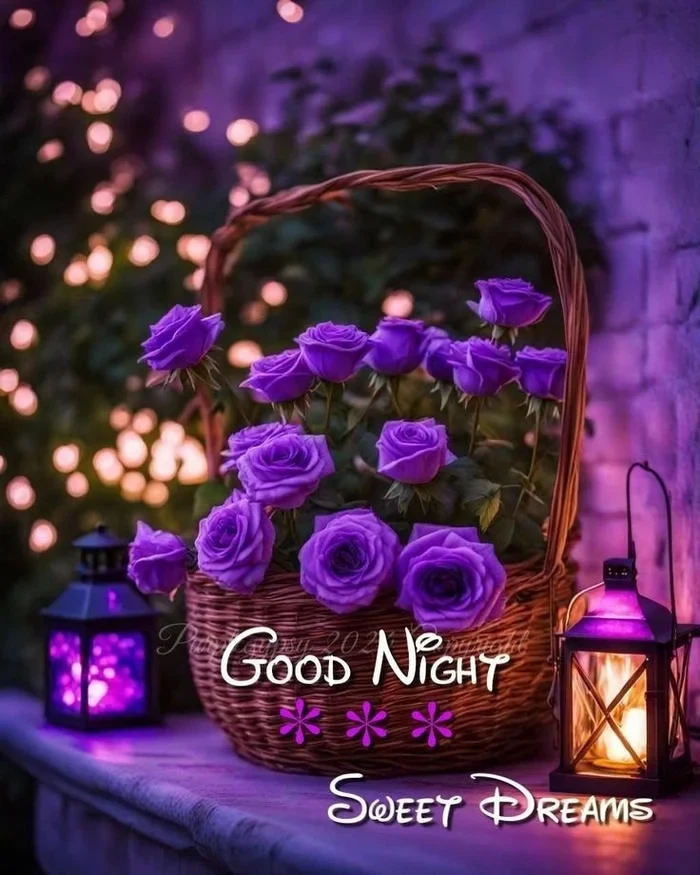 good night rose image with quotes