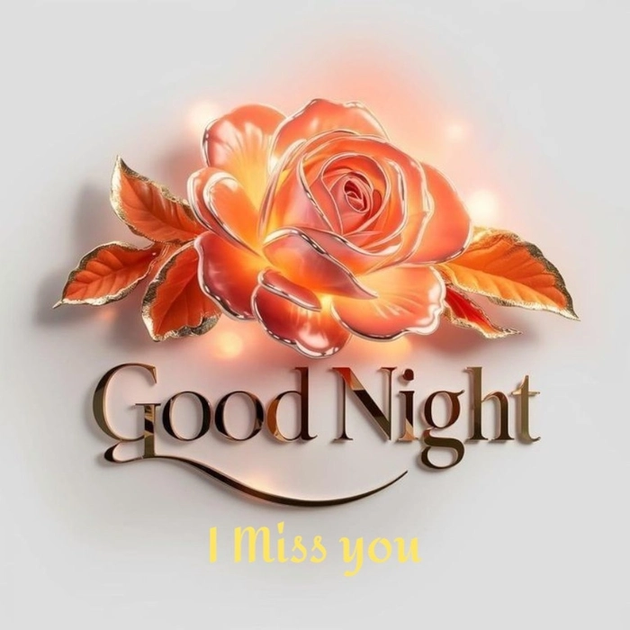 good night rose image